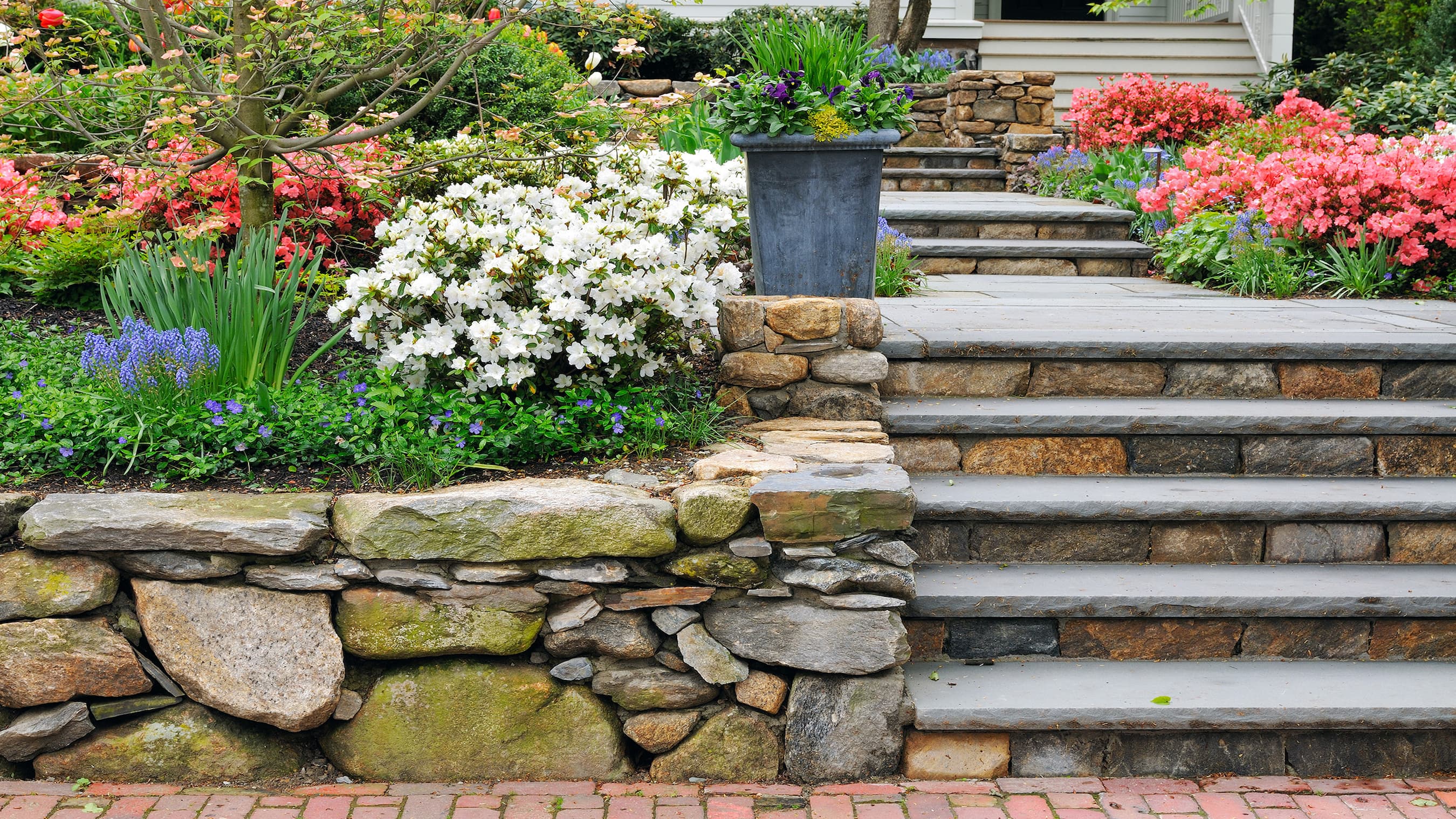 Stone steps leading up to flower beds