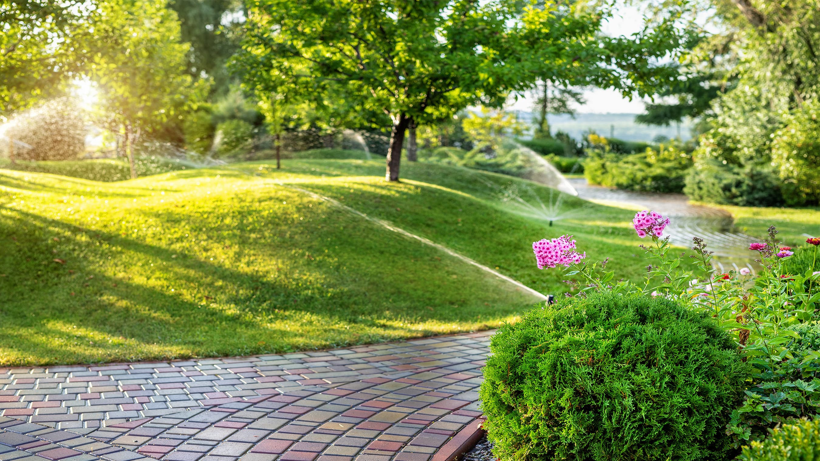 Greenery and flowers watered by sprinkler system alongside brick path