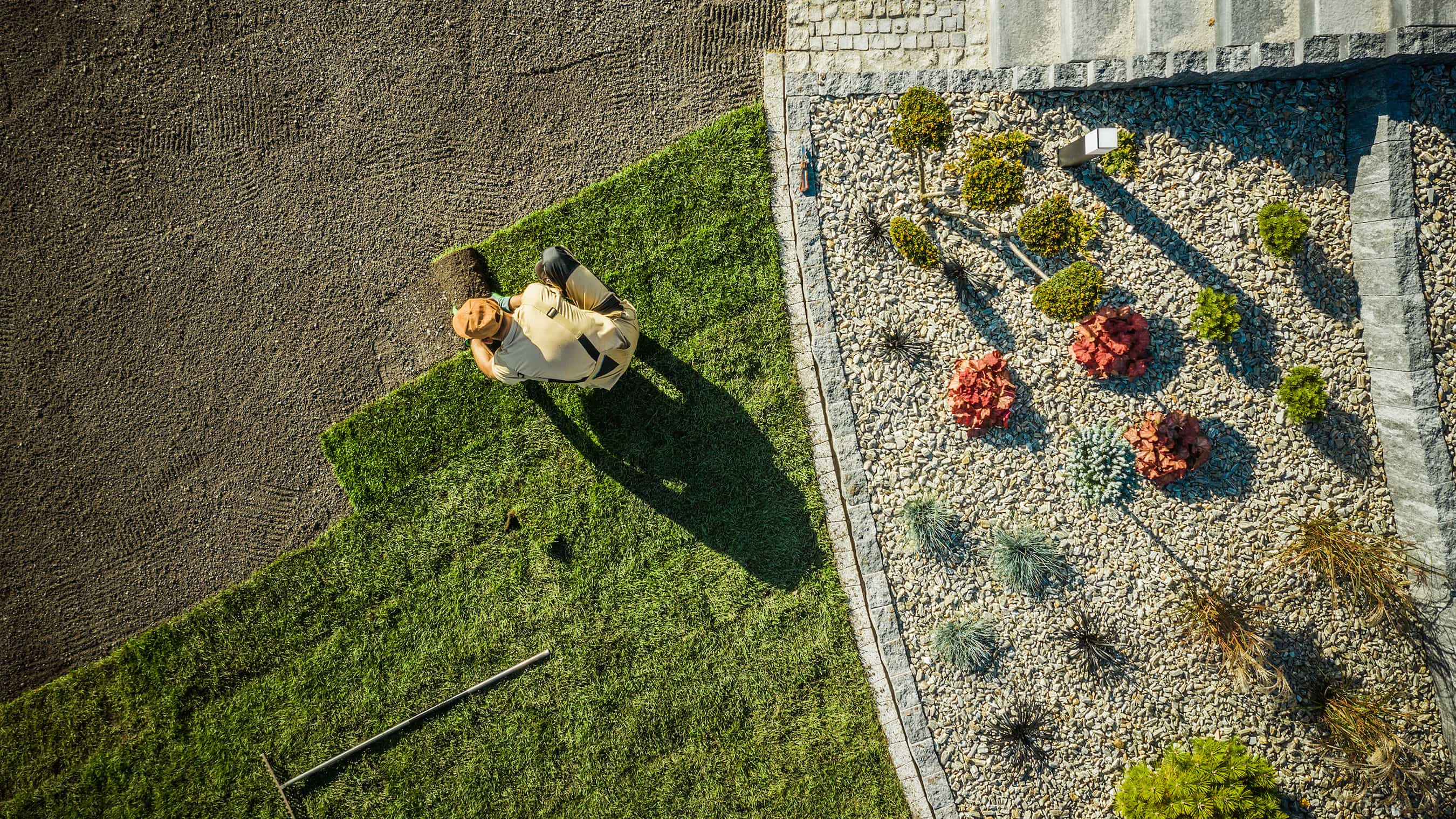 Man kneeling on the ground while laying sod