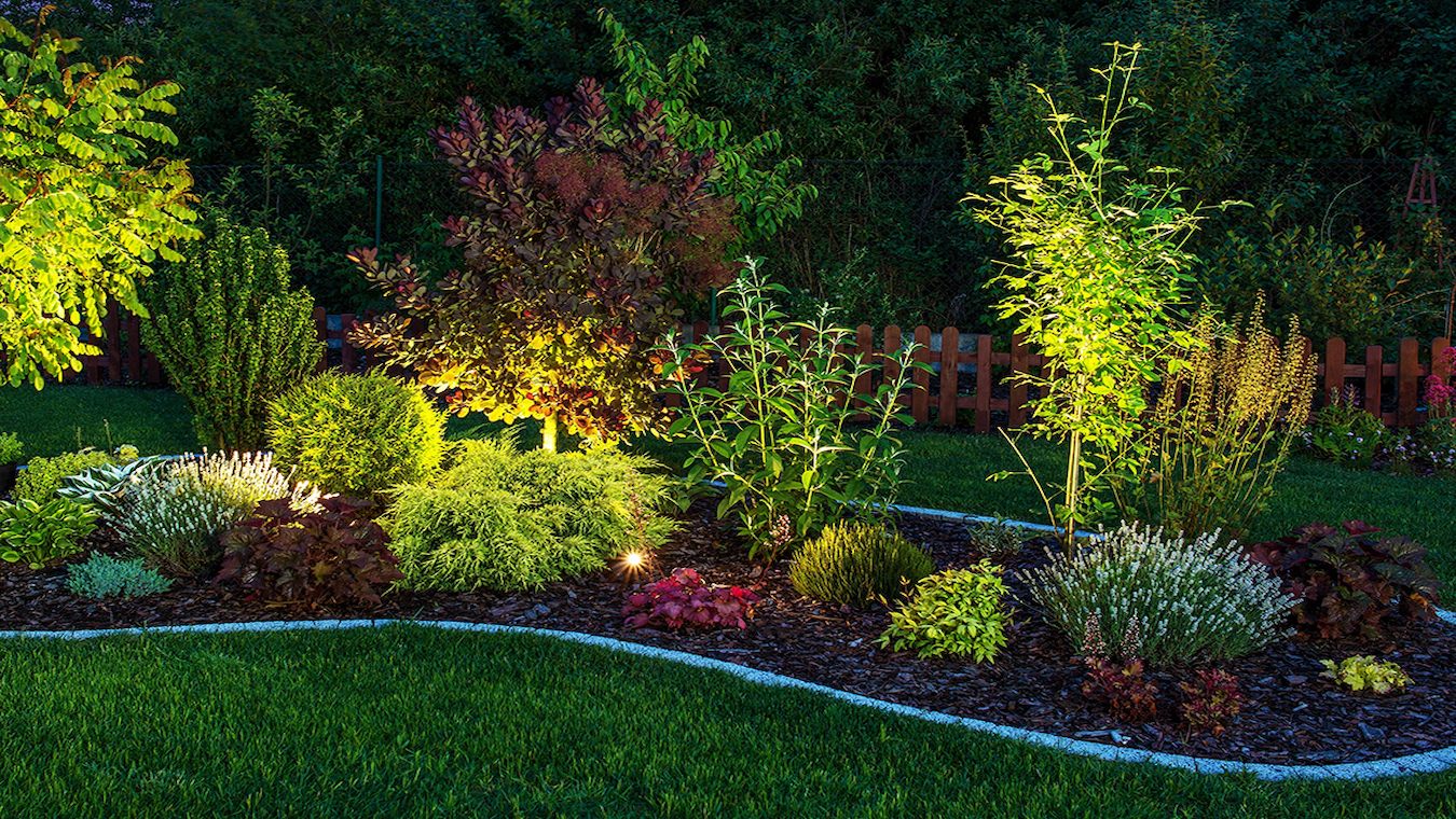 Manicured lawn with well-lit plants